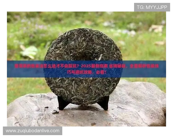 篮球滚球盘避坑指南 电子真人防骗与极速提现
